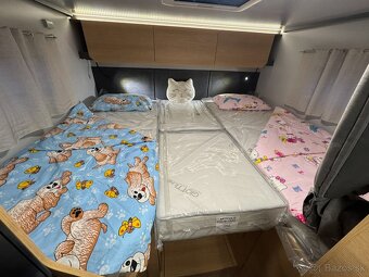 Giottiline Siena 485 Peugeot Automat Markiza, Duocontrol - 14