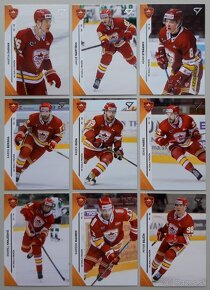 Hokejové kartičky TIPOS EXTRALIGA 2024/2025 HK DUKLA TRENČÍN - 14