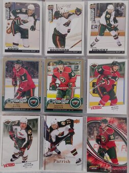 Hokejové kartičky Minnesota Wild - 14