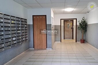 HALO reality - Predaj, jednoizbový byt Bratislava Dúbravka,  - 14