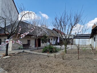 Sereď centrum- 3 izb.RD na 359 m2 pozemku na predaj - 14