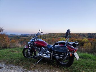 Yamaha XVS 1100 Dragstar Custom - 14