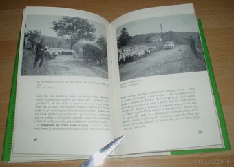 Slovenský čuvač - 14