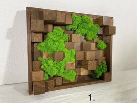 Machové obrazy - akustické difúzory - 14