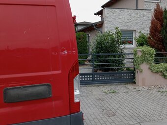 Tuja Smaragd, vavrínovec, červienka - Spišská Nová Ves - 14