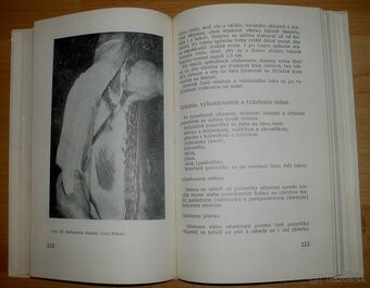 Domáca zakáľačka - 14