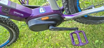 Predam elektrobike Cussis Fiona 8.6 17" - 14