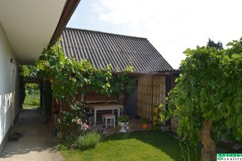 2 x Rodinný dom ihneď k bývaniu za cenu bytu v Trnave - 14