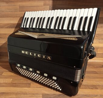 Akordeon, harmonika, heligonka - 14