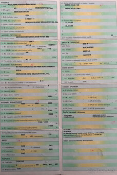 Mercedes 1924 Hákový nosič kontajnerov - 14