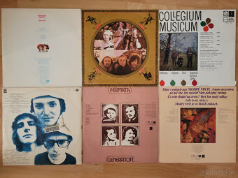 LP / EP / VINYL / PLATNE - 14