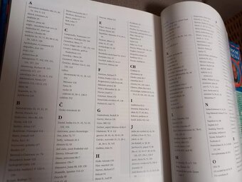 Tisícročné proroctvá - Stephen Skinner, vydanie 1995 - 14