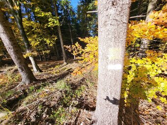Vymením 3,8 ha lesného pozemku za ornú pôdu - 14