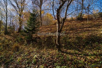 PREDAJ: Tajuplná záhrada s jazierkom a banským potôčikom, 19 - 14