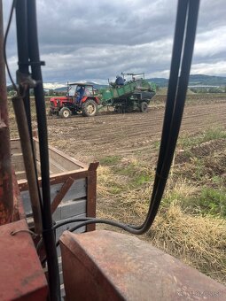 Domáce Zemiaky - 14