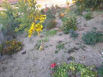 4 izbový dom Dvory nad Žitavou - 14