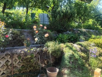 Predám záhradku s chatkou – Mojšová Lúčka I, Žilina - 14