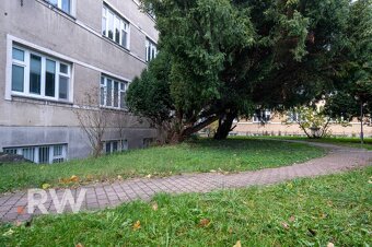 1i garsónka vo DVORE - TEHLA - VYSOKÉ stropy - Centrum NIVY  - 14