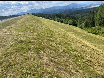 Kosenie-mulčovanie pozemkov//Pílenie//Orez stromov - 14