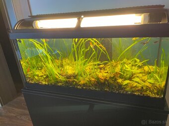 Predám kompletne zariadené 100 litrové akvárium - 14