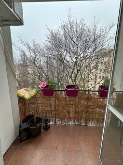 Predaj nadčasového 2-izbového bytu po kompletnej rekonštru - 14