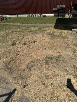 Profesionálne frézovanie a likvidácia pňov – rýchlo, bezpečn - 14