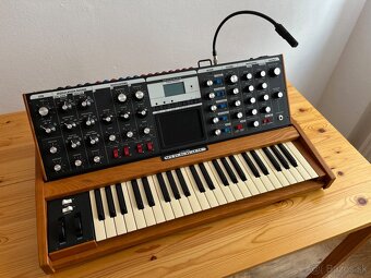 Moog Minimoog Voyager (2002) - 14