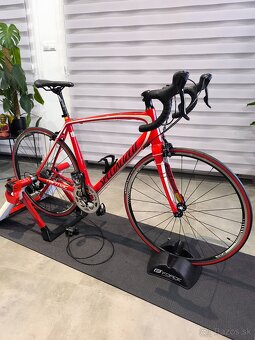 Specialized - 14