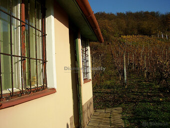 Záhradný domček s vinohradom - 14