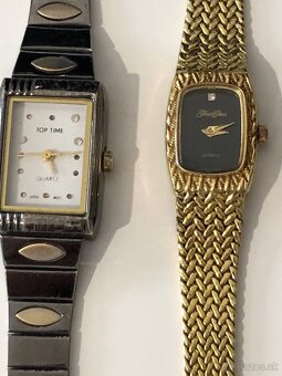 patek philippe puzdro hodinky - 14