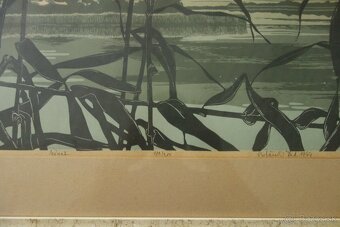 Obraz - Botanský - návrat - 14