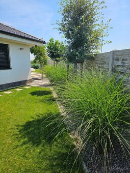 vertikutacia, rotavatorovanie, rylovanie, strihanie - 14