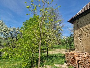 Chalúpka na Brezovke na polosamote staroturanských kopaníc - 14