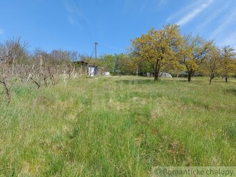Rozľahlý pozemok na samote neďaleko prírodnej rezervácie v - 14