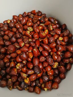 Sušené bylinky - 14