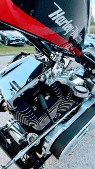 Harley Davidson Custom 300 - 14