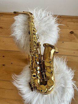 Saxofon Stewart Ellis Elite - 14