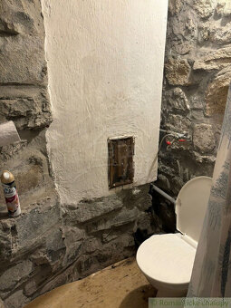 Chata v úžasnom lesnom prostredí Karpát nad obcou  Limbach - 14