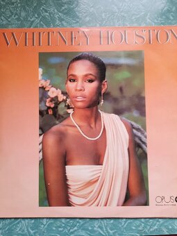 LP soulové divy - 14