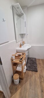 1 izbovy bytik,Palarikova Košice - 14