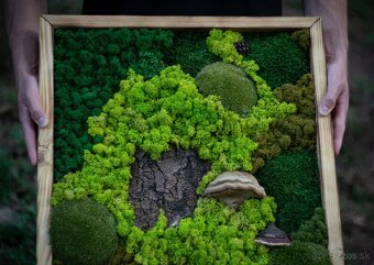 🌿 Machové obrazy na mieru – príroda vo vašom interiéri - 14