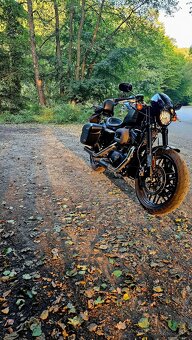 HARLEY DAVIDSON ROADSTER 1200 - 14