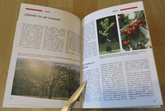Řez, tvarování a roubování ovocných stromu - 14