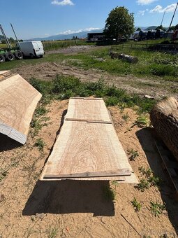 Predám rezivo Jaseň, šírka foršní od 50cm-130cm - 14