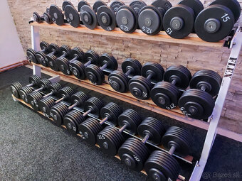 Pevné profi jednoruční činky 2,5 - 100kg - 14