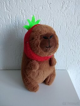 Edukačná hra s perom - 14