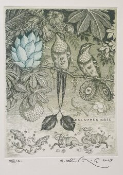 Peter Kľúčik - 14