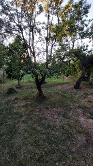 ZĽAVA  - Záhradný pozemok v KE - nad Jazerom - 14