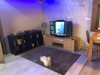 Krátkodobý prenájom aj s domácim miláčikom - 14