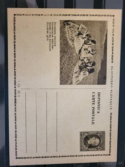 CELINY HLINKA RAZUS - 14